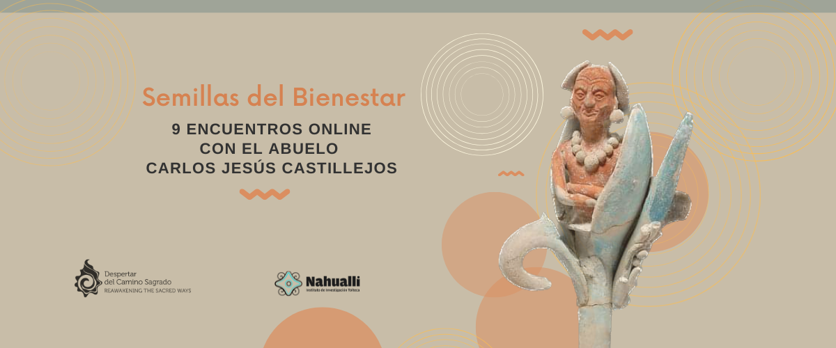 Semillas del Bienestar 2026